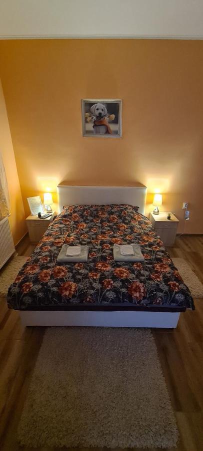 Ales Apartman Sombor Exteriör bild